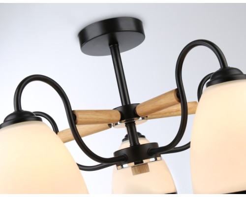 Потолочная люстра TRADITIONAL TR3033245 Ambrella