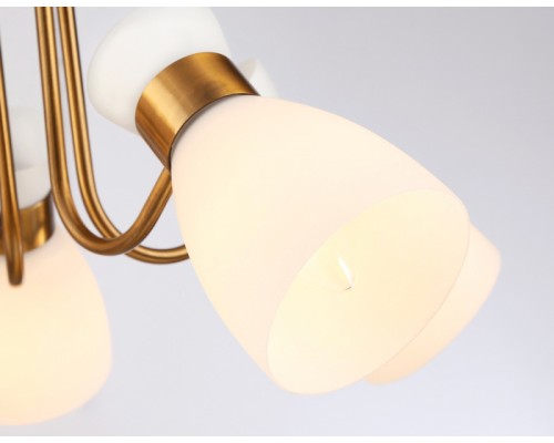 Потолочная люстра TRADITIONAL TR3218 Ambrella