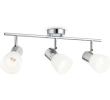 Спот TRADITIONAL TR3965 Ambrella