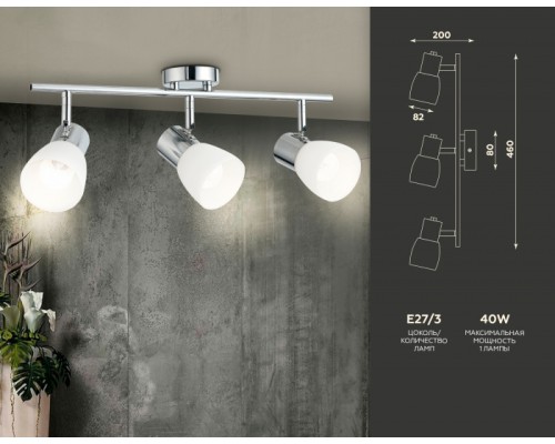 Спот TRADITIONAL TR3965 Ambrella