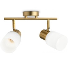 Спот TRADITIONAL TR3969 Ambrella