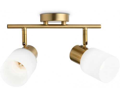 Спот TRADITIONAL TR3969 Ambrella