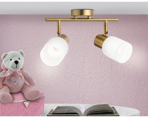 Спот TRADITIONAL TR3969 Ambrella