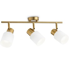 Спот TRADITIONAL TR3972 Ambrella