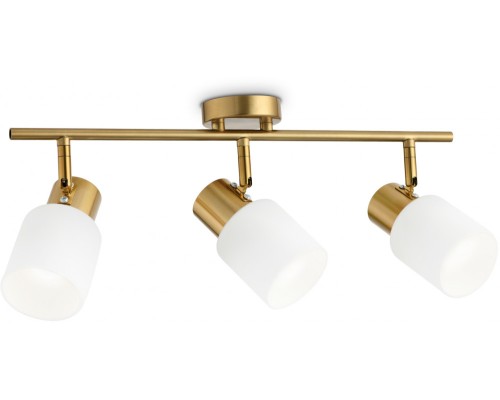 Спот TRADITIONAL TR3972 Ambrella