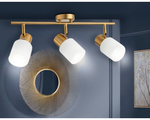 Спот TRADITIONAL TR3972 Ambrella