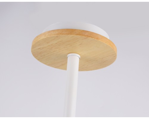 Потолочная люстра TRADITIONAL TR80166 Ambrella