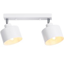 Спот TRADITIONAL TR8141 Ambrella