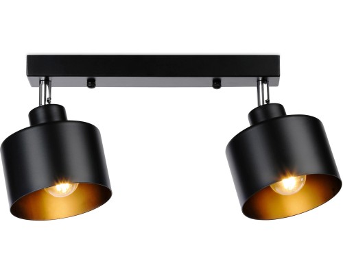 Спот TRADITIONAL TR8142 Ambrella