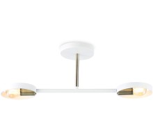 Потолочная люстра TRADITIONAL TR8222 Ambrella