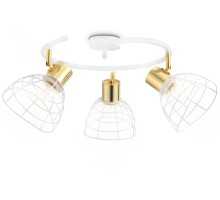 Спот TRADITIONAL TR8605 Ambrella