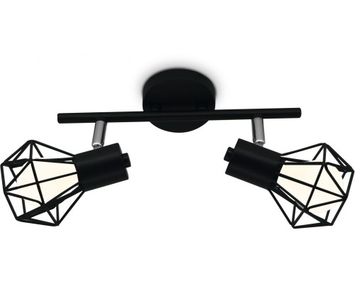 Спот TRADITIONAL TR8621 Ambrella