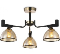 Потолочная люстра TRADITIONAL TR9098 Ambrella