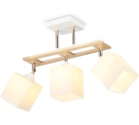 Потолочная люстра TRADITIONAL TR9505 Ambrella