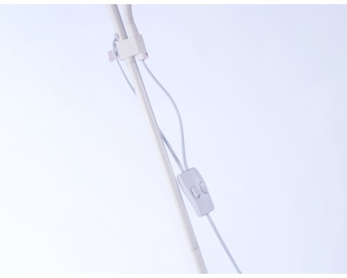 Торшер TRADITIONAL TR97622 Ambrella