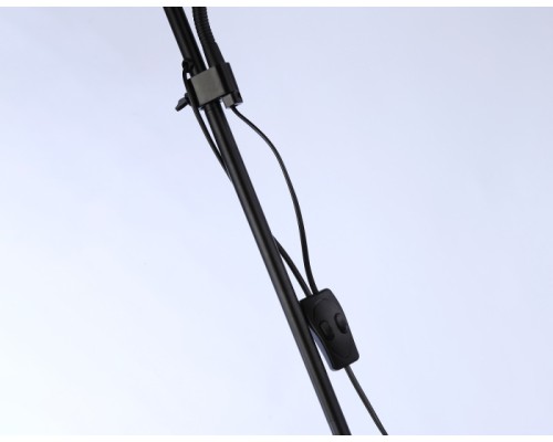 Торшер TRADITIONAL TR97629 Ambrella