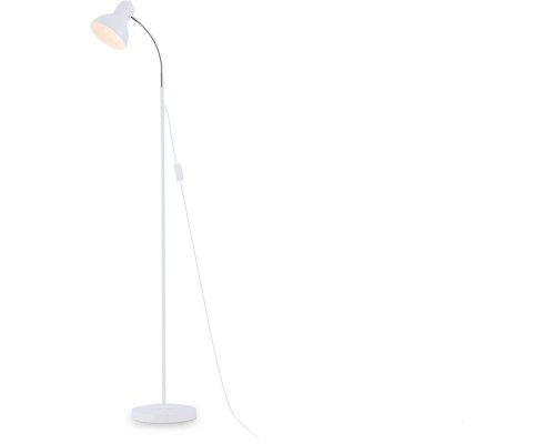 Торшер TRADITIONAL TR97655 Ambrella