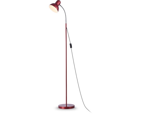 Торшер TRADITIONAL TR97666 Ambrella