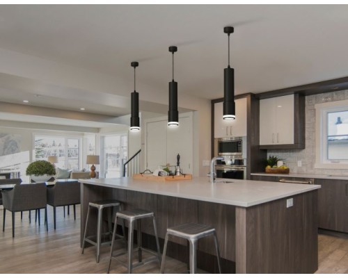 Подвесной светильник XP XP7422021 Ambrella