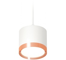 Подвесной светильник TECHNO SPOT XP8110012 Ambrella