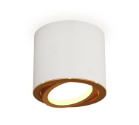 Точечный светильник Techno XS7401004 Ambrella