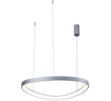 Подвесной светильник Zula APL.022.13.60 Aployt