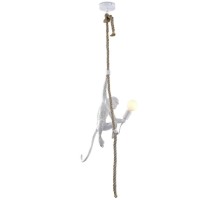 Подвесной светильник Magali APL.309.06.01 Aployt