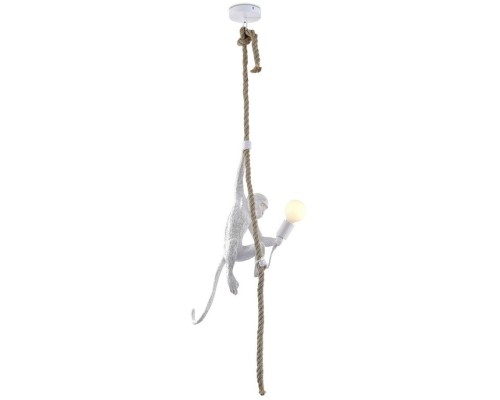 Подвесной светильник Magali APL.309.06.01 Aployt