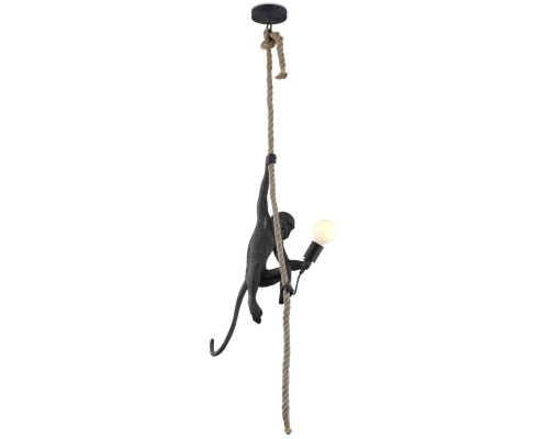 Подвесной светильник Magali APL.309.16.01 Aployt