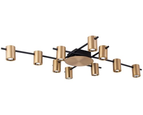 Потолочная люстра Elwisia APL.633.07.10 Aployt