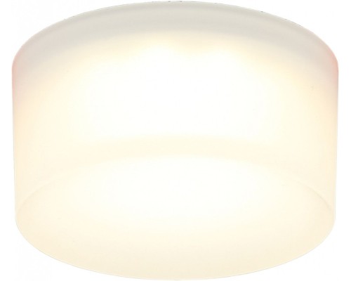 Точечный светильник Lea APL.0034.09.05 Aployt