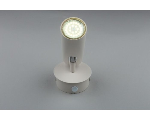 Спот Rein APL.004.01.01 Aployt