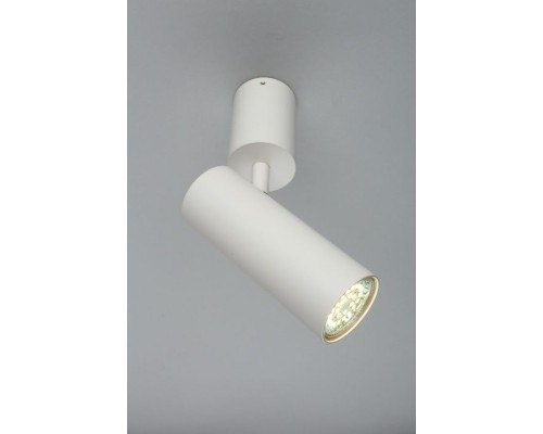 Спот Berenis APL.007.02.01 Aployt