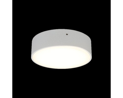 Потолочный светильник Evon APL.0113.09.12 Aployt