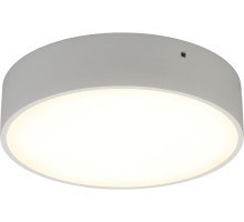 Потолочный светильник Evon APL.0113.09.18 Aployt