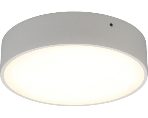 Потолочный светильник Evon APL.0113.09.18 Aployt