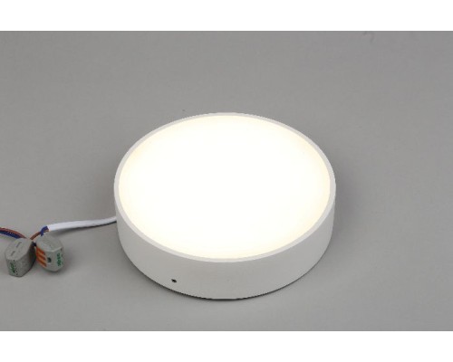 Потолочный светильник Evon APL.0113.09.18 Aployt