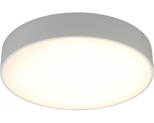 Потолочный светильник Evon APL.0113.09.24 Aployt