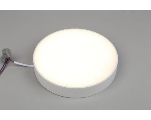 Потолочный светильник Evon APL.0113.09.24 Aployt