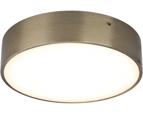 Потолочный светильник Evon APL.0113.29.18 Aployt