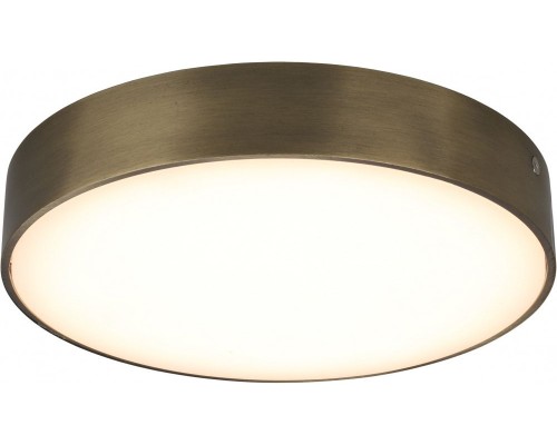 Потолочный светильник Evon APL.0113.29.24 Aployt