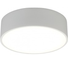 Потолочный светильник Evon APL.0114.09.12 Aployt