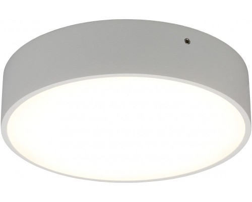 Потолочный светильник Evon APL.0114.09.18 Aployt