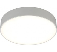 Потолочный светильник Evon APL.0114.09.24 Aployt