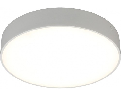 Потолочный светильник Evon APL.0114.09.24 Aployt