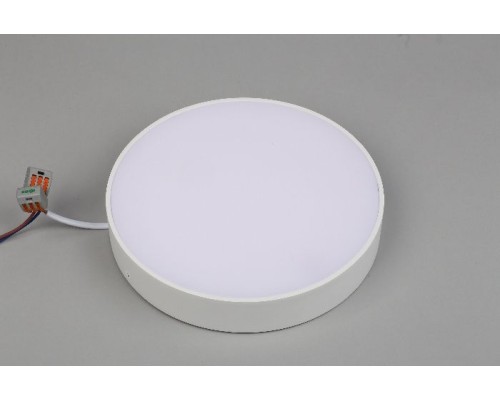 Потолочный светильник Evon APL.0114.09.24 Aployt