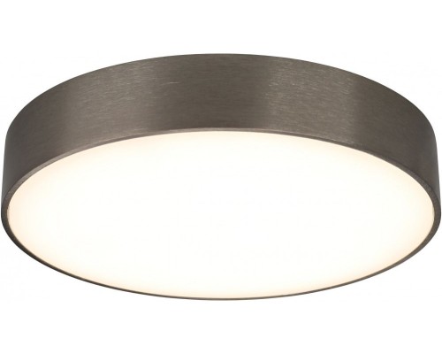 Потолочный светильник Evon APL.0114.19.24 Aployt