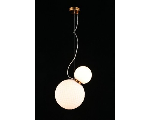 Подвесной светильник Patunia APL.301.06.02 Aployt