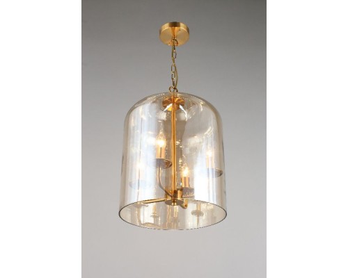 Подвесная люстра Polin APL.603.06.06 Aployt