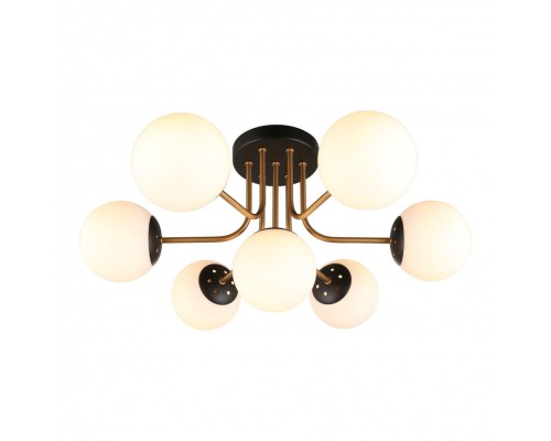 Потолочная люстра Ewka APL.906.17.07 Aployt
